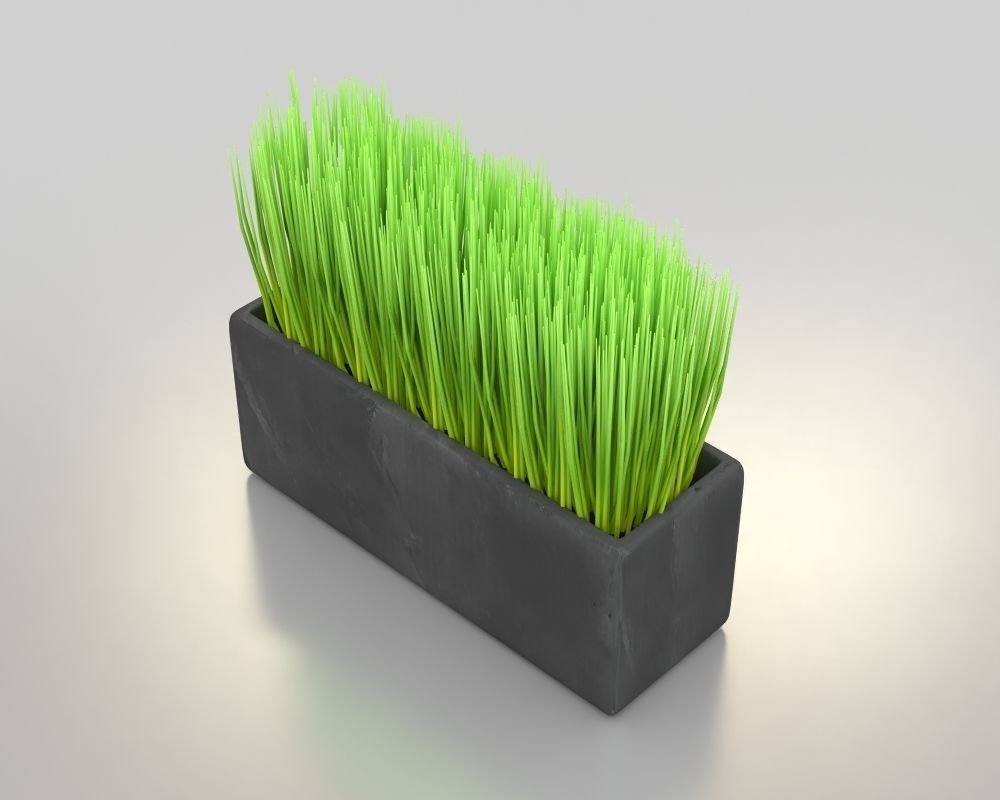 Box Planter 3D model_2