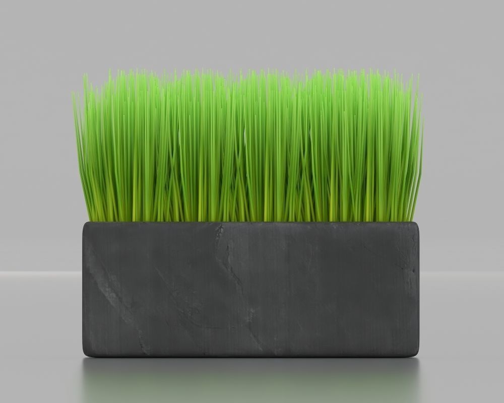 Box Planter 3D model_3