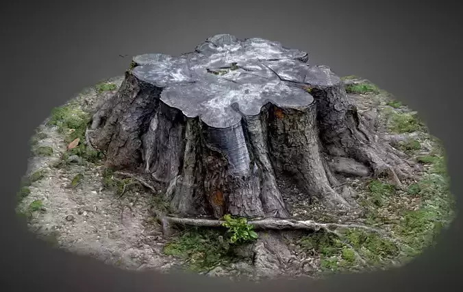 Tree Trunk Low-poly 3D model