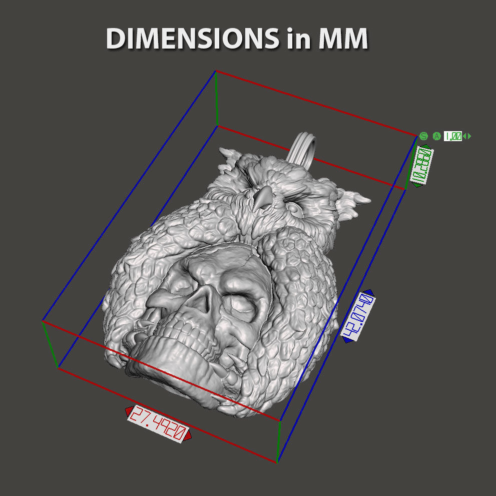 Skull pendant jewelry and owl vol1  3D print model_4