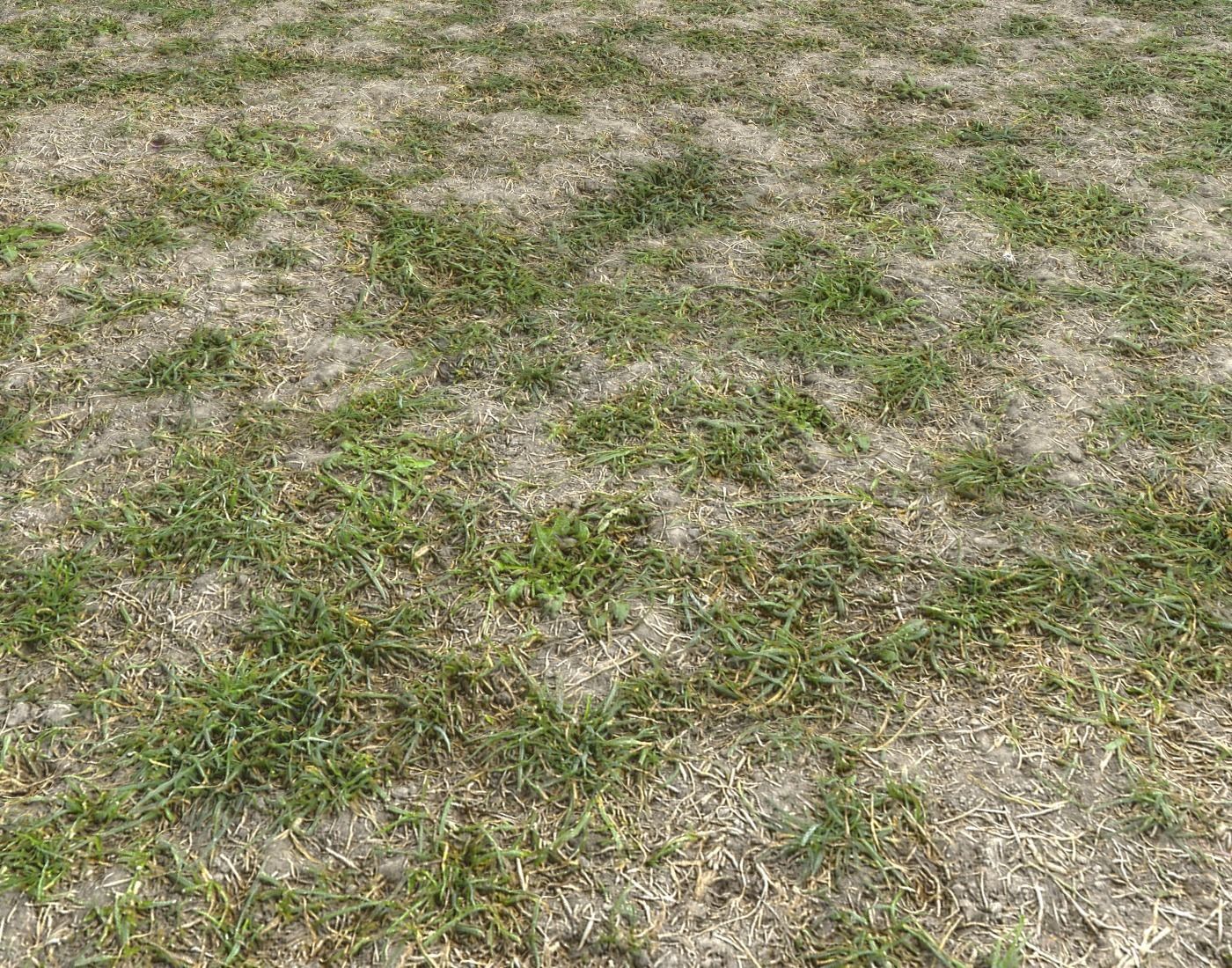 Forest Terrain Pack PBR 8 Texture_6