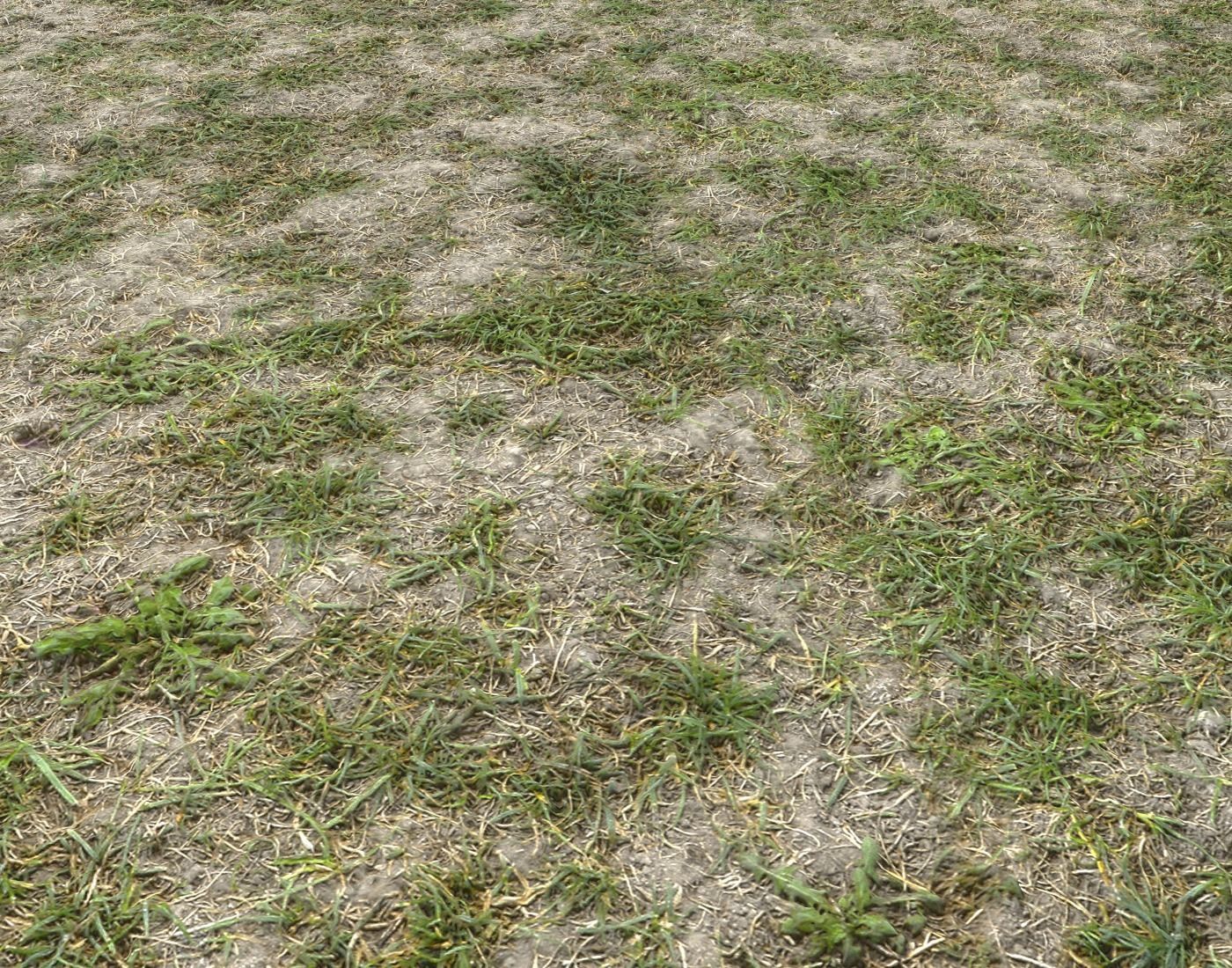 Forest Terrain Pack PBR 8 Texture_8