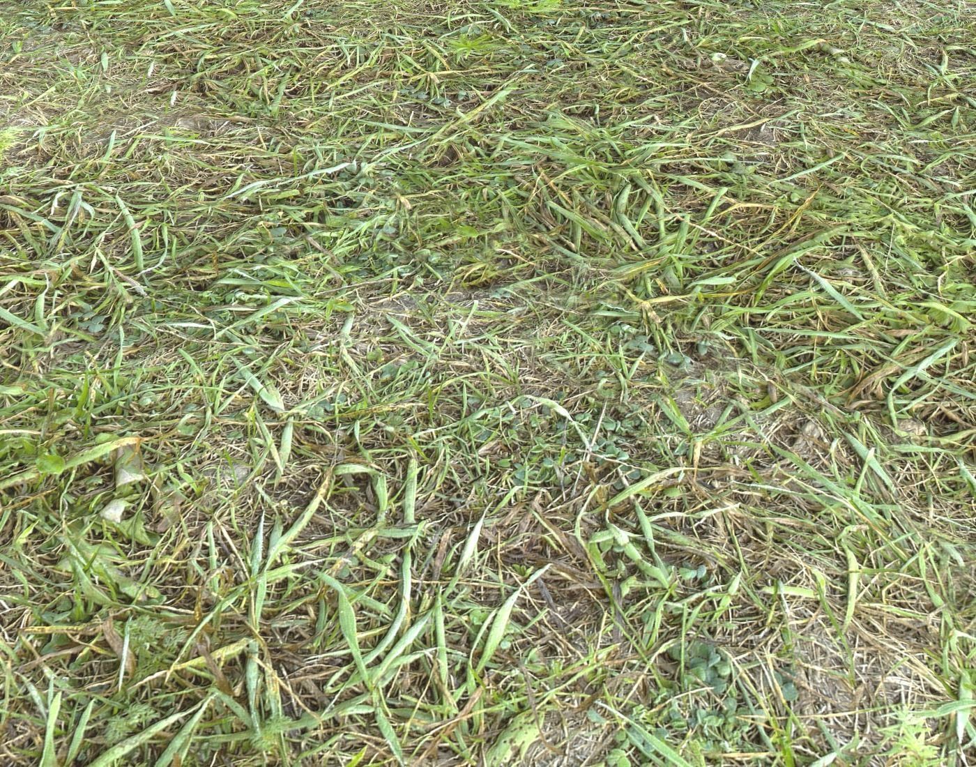 Forest Terrain Pack PBR 8 Texture_11