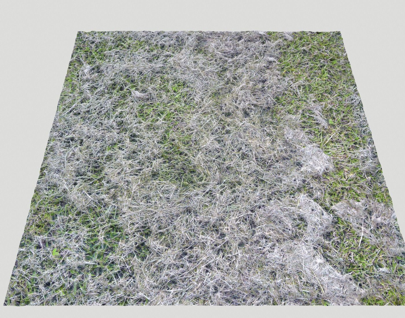 Forest Terrain Pack PBR 8 Texture_17