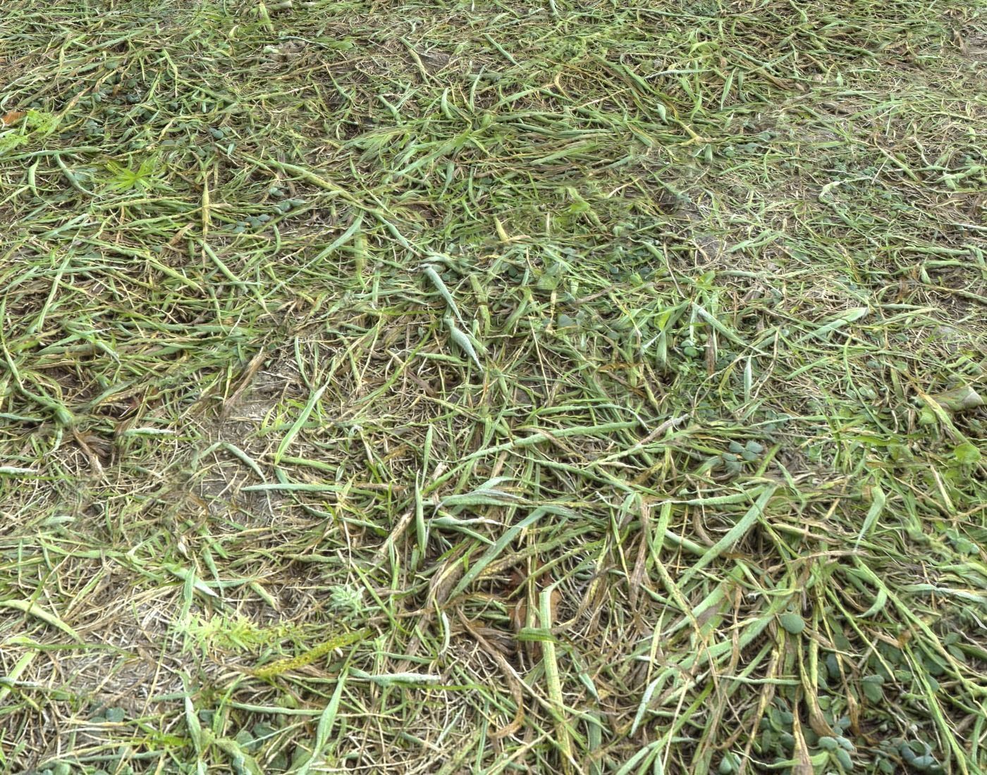 Forest Terrain Pack PBR 8 Texture_10