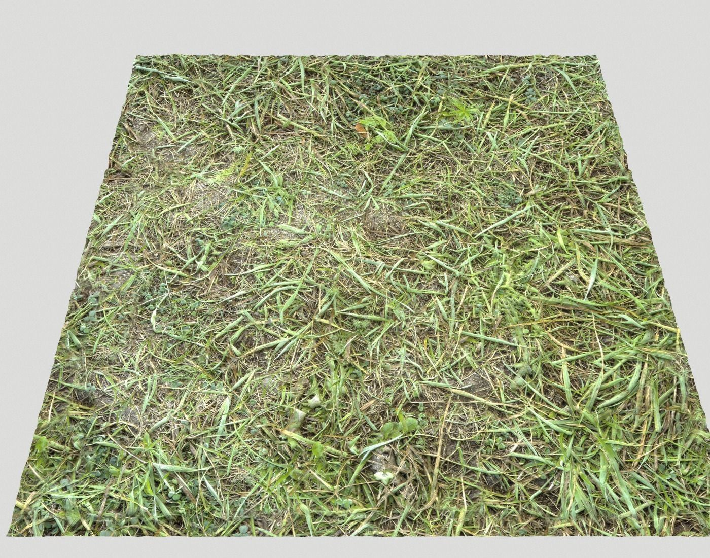 Forest Terrain Pack PBR 8 Texture_19