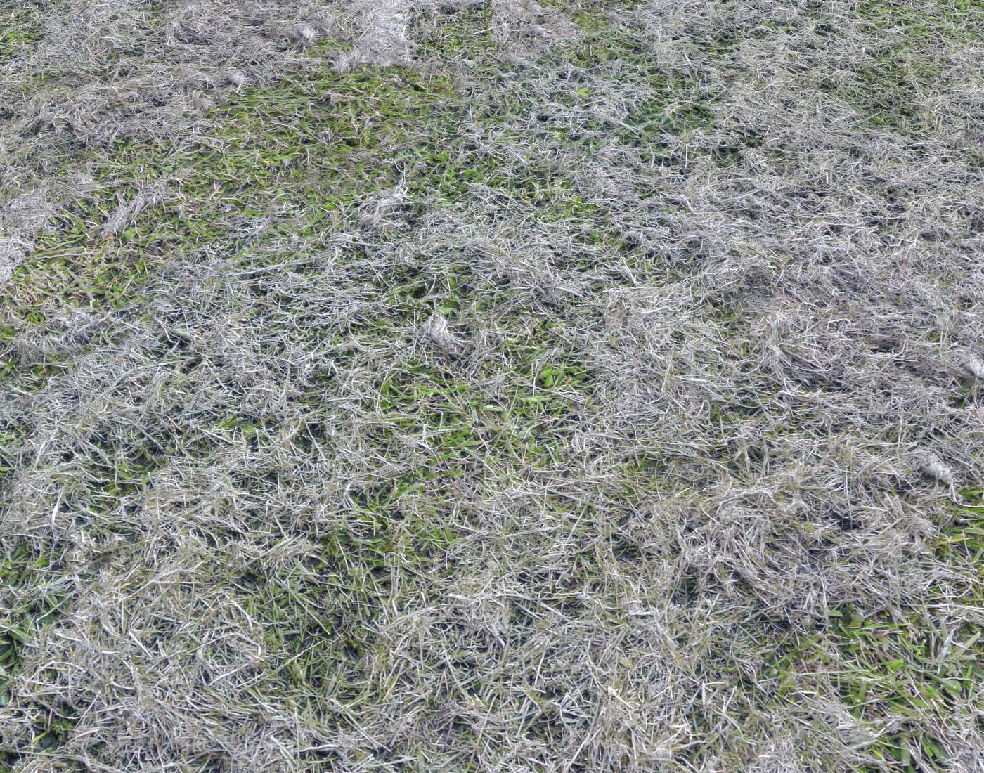 Forest Terrain Pack PBR 8 Texture_2