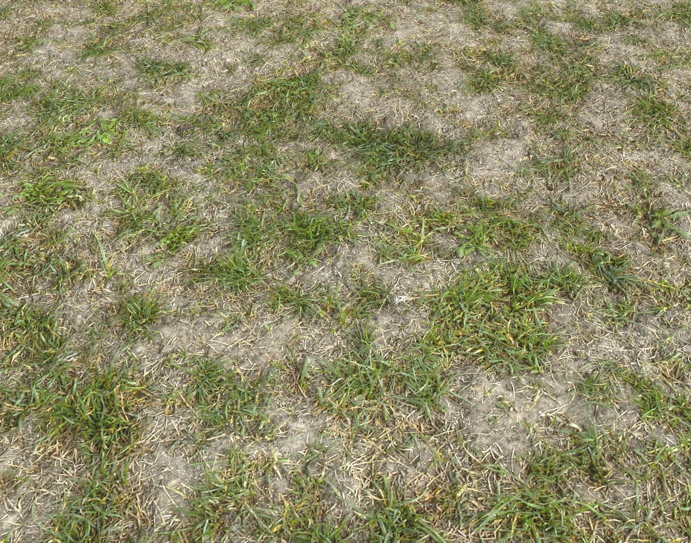 Forest Terrain Pack PBR 8 Texture_7