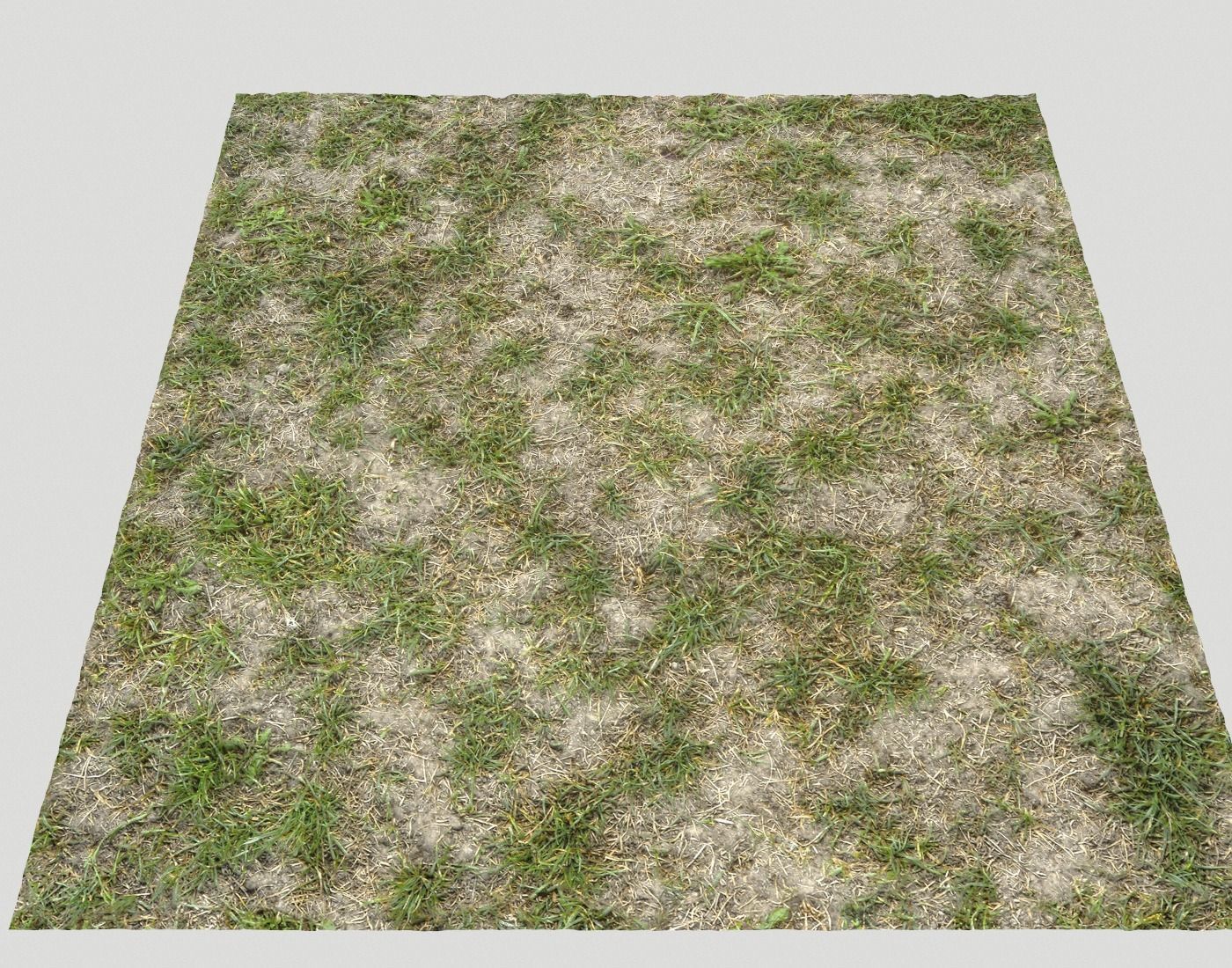 Forest Terrain Pack PBR 8 Texture_18