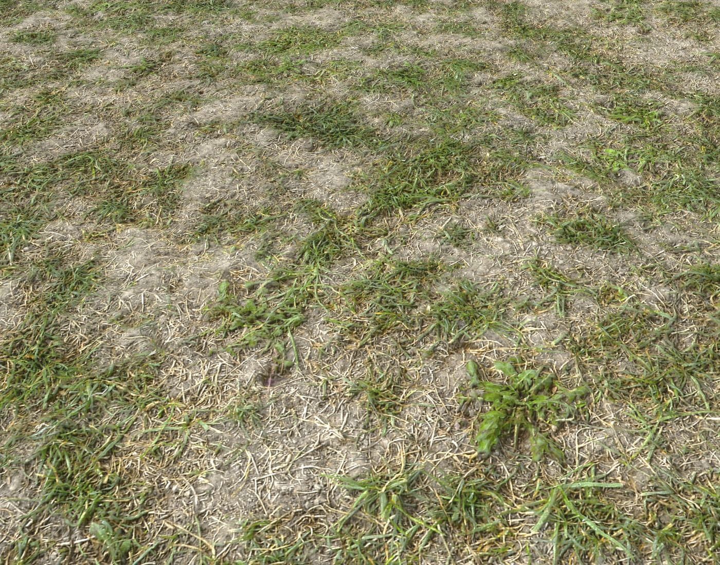 Forest Terrain Pack PBR 8 Texture_9