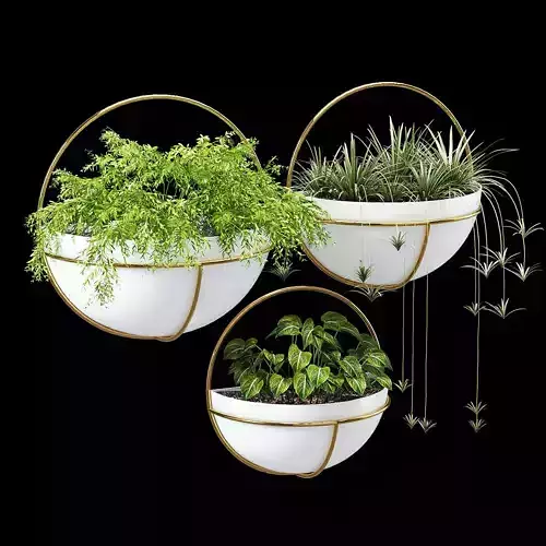 Bigler three plants in circle