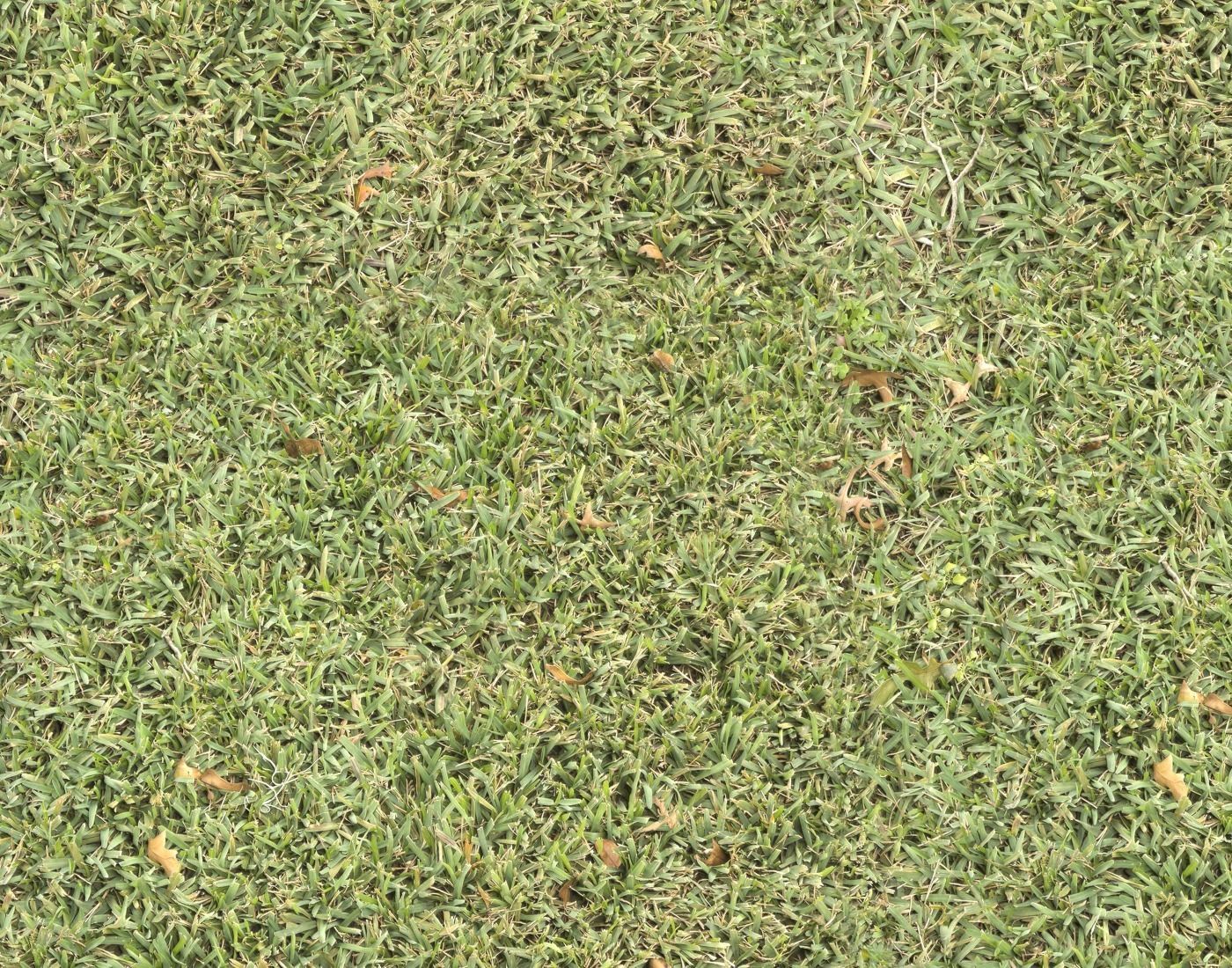 Forest Terrain Pack 11 Texture_10