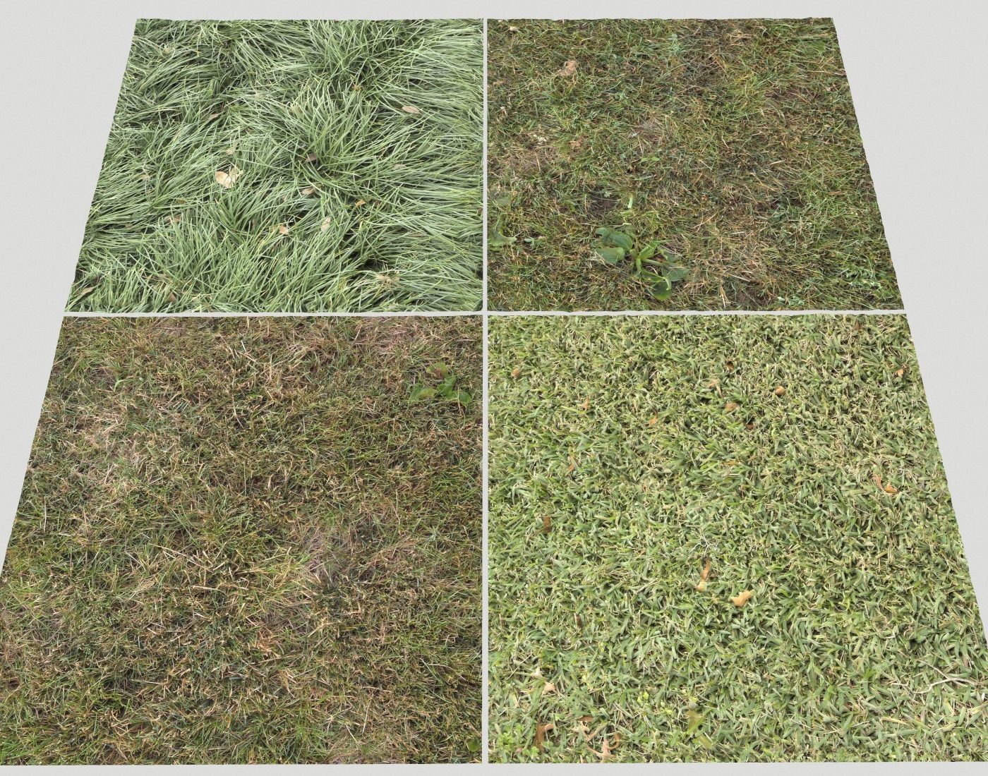 Forest Terrain Pack 11 Texture_13