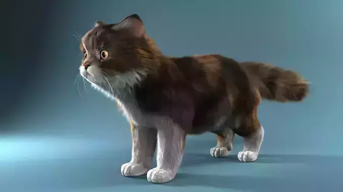 Persian cat 3D model