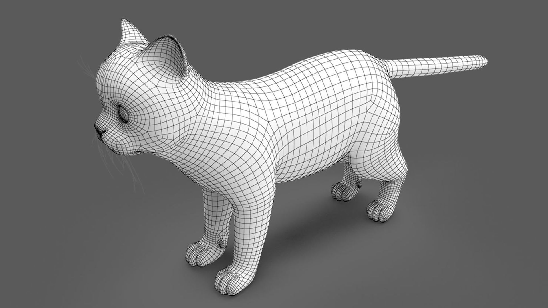 Persian cat 3D model_10