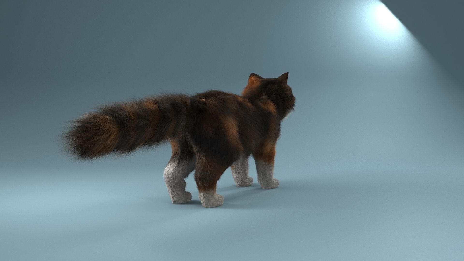 Persian cat 3D model_5