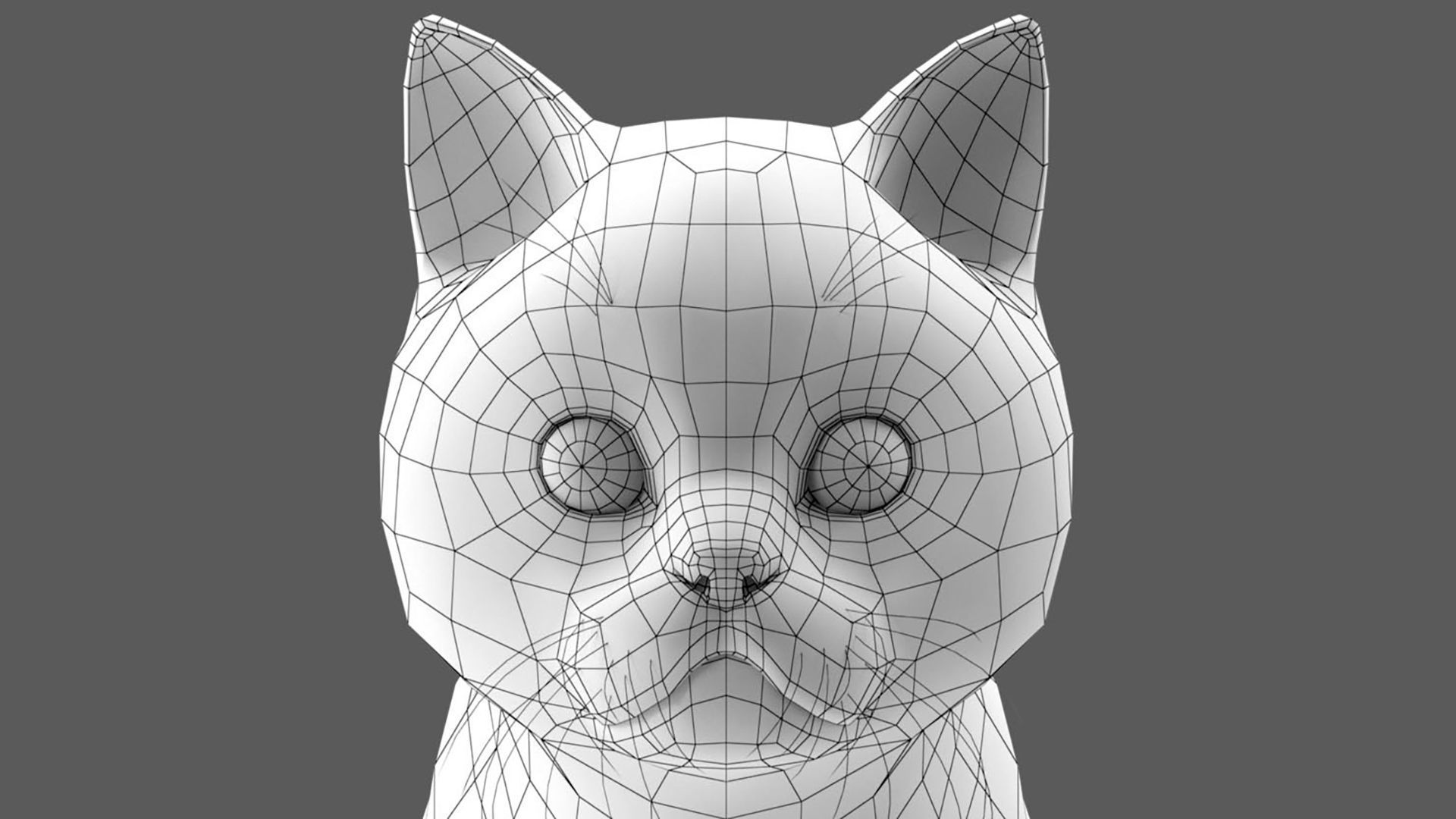 Persian cat 3D model_11