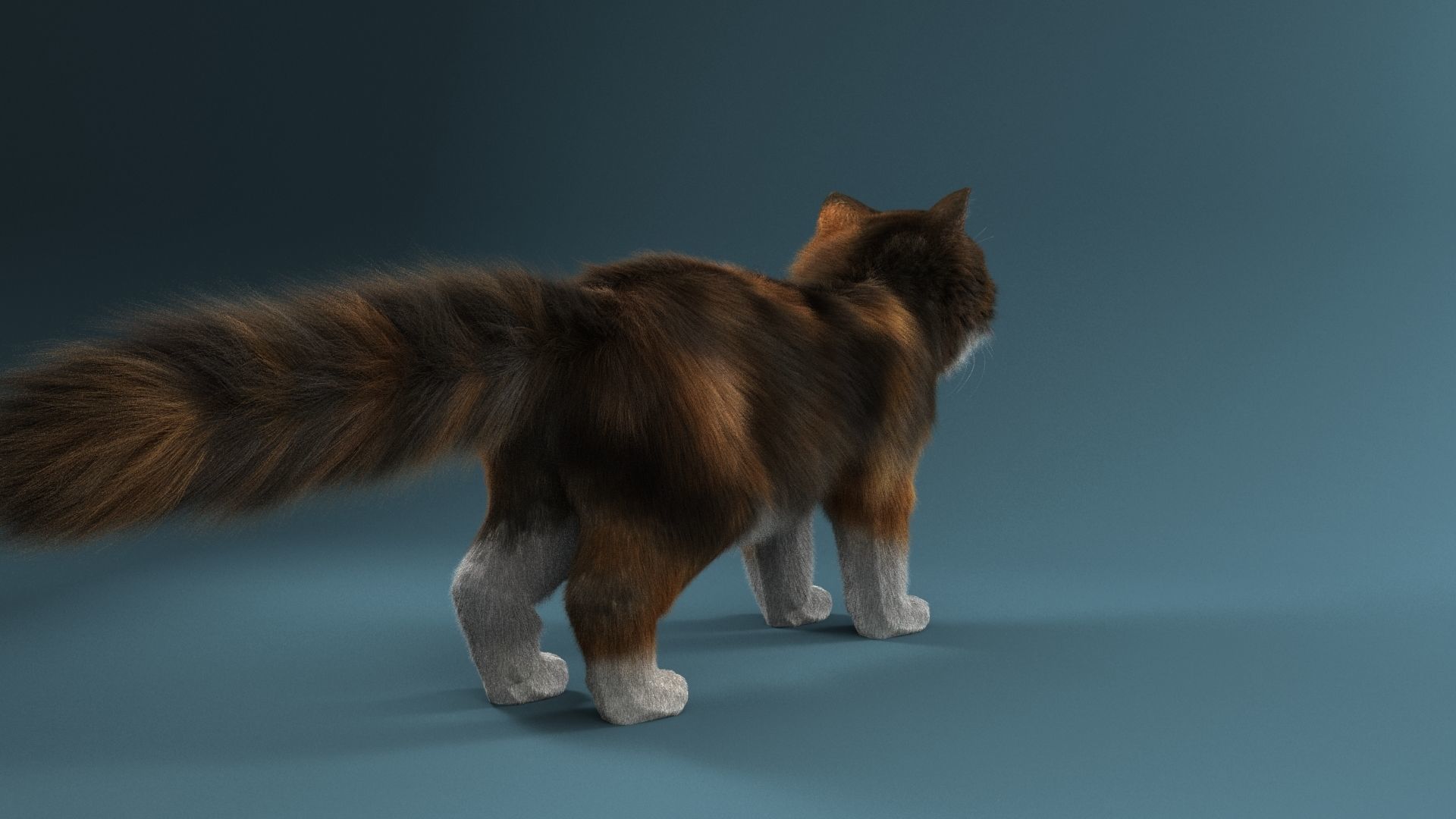 Persian cat 3D model_2