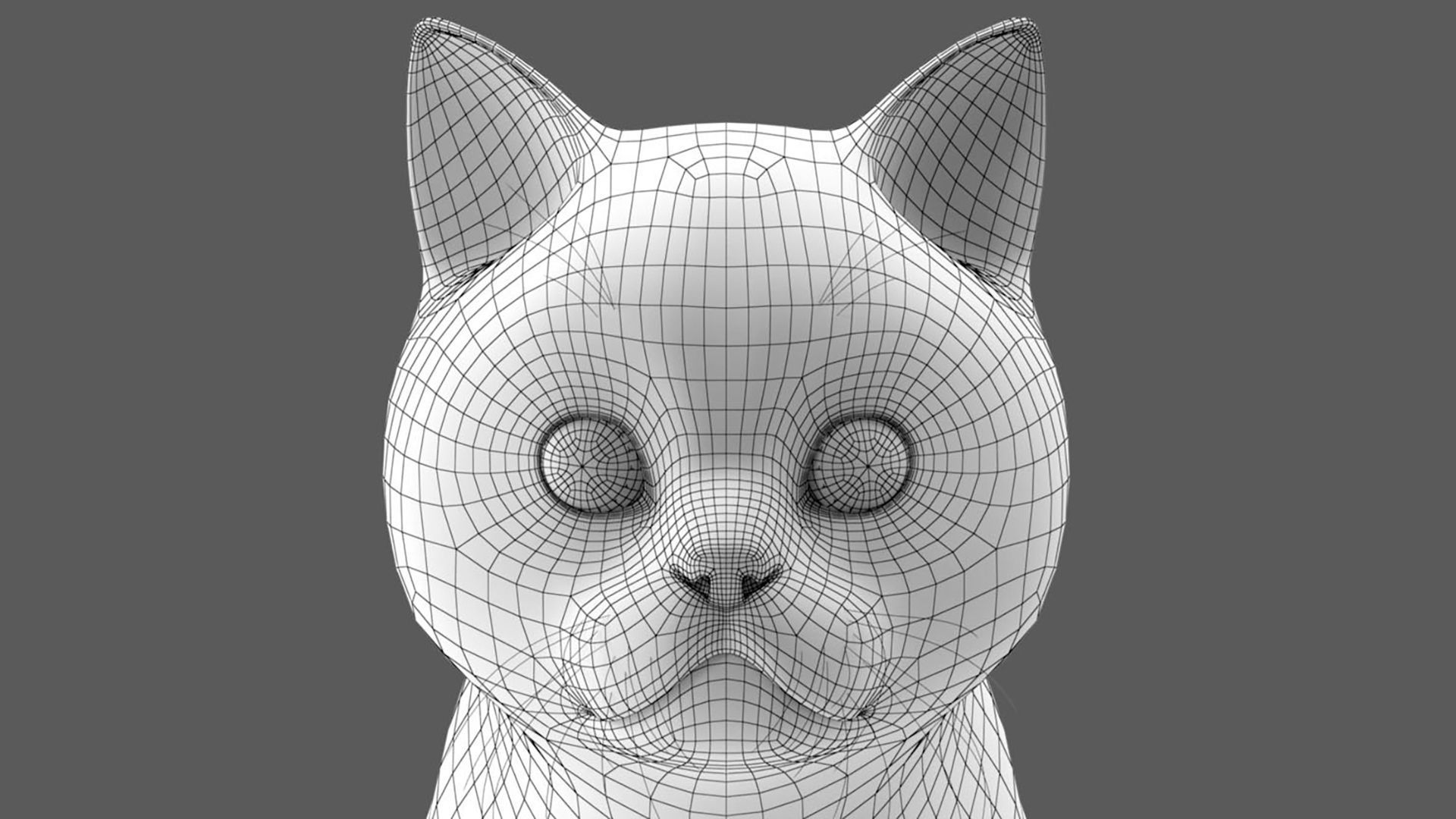 Persian cat 3D model_12