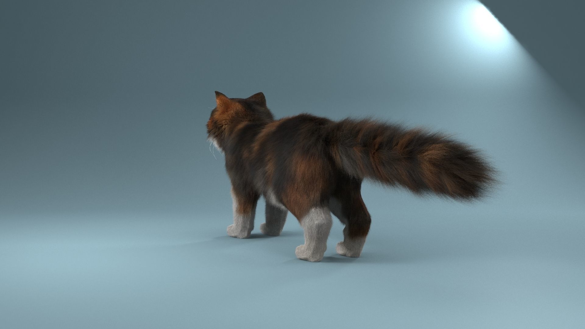 Persian cat 3D model_7