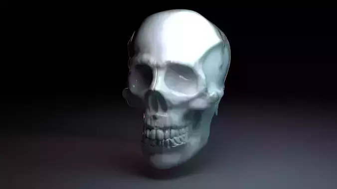 Skull