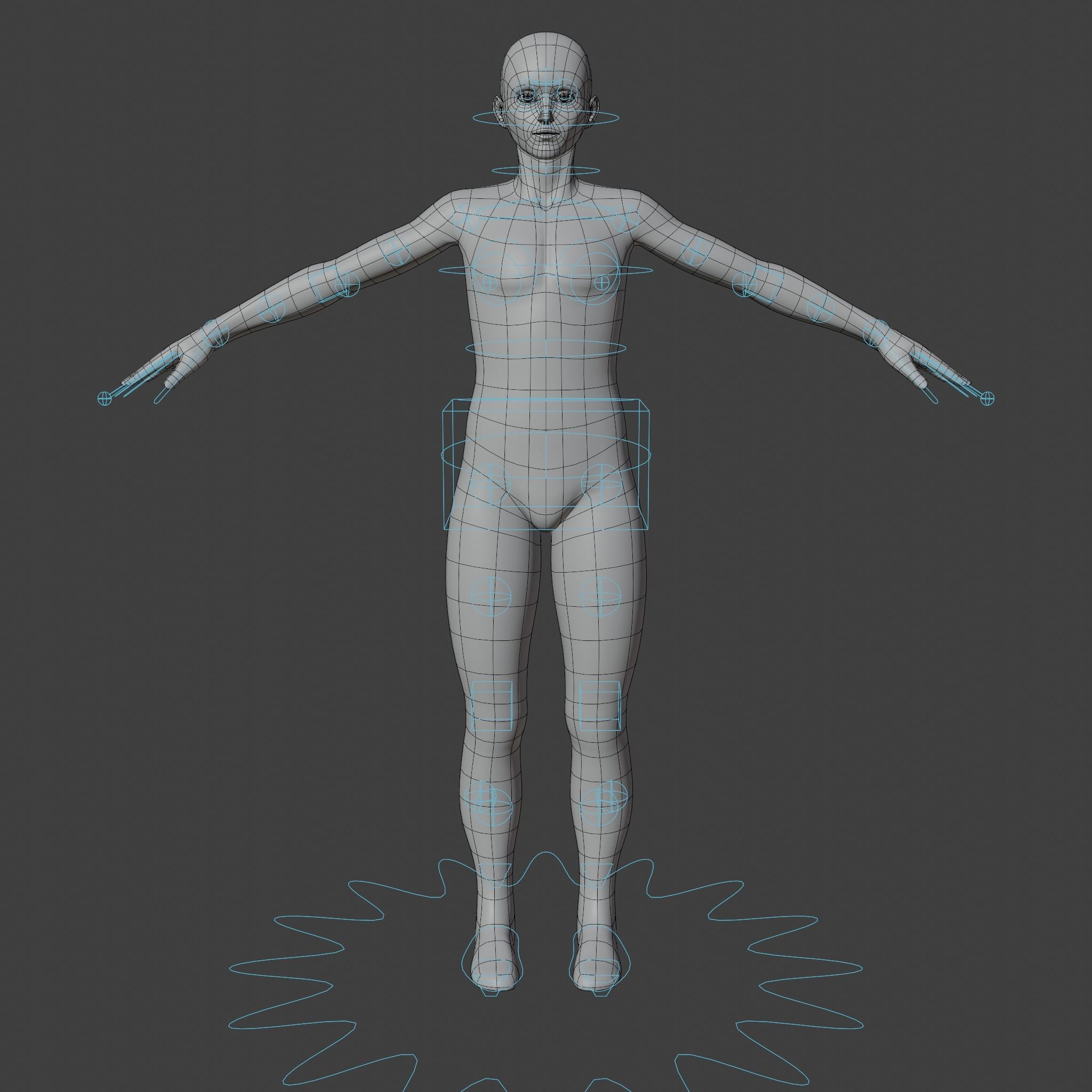Stylized Humanoid Base Mesh Pack -Rigged- 3D Model Collection_7