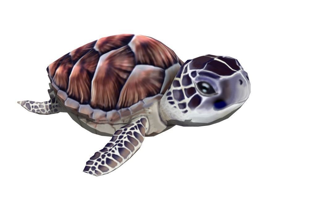 sea turtle Low-poly 3D model_2