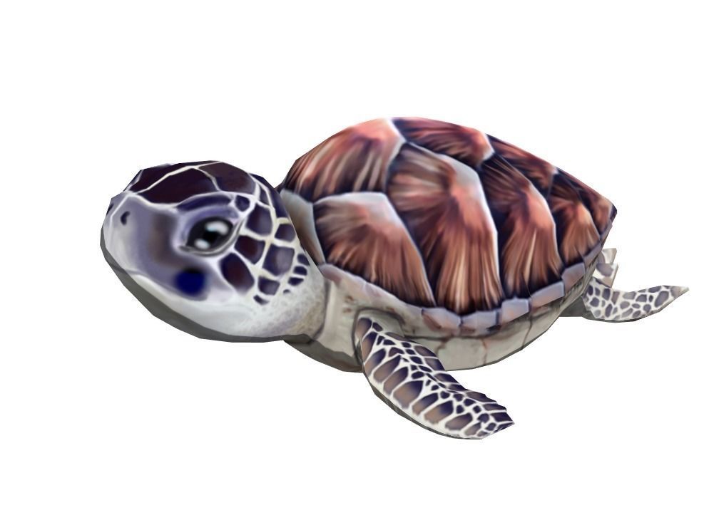 sea turtle Low-poly 3D model_1