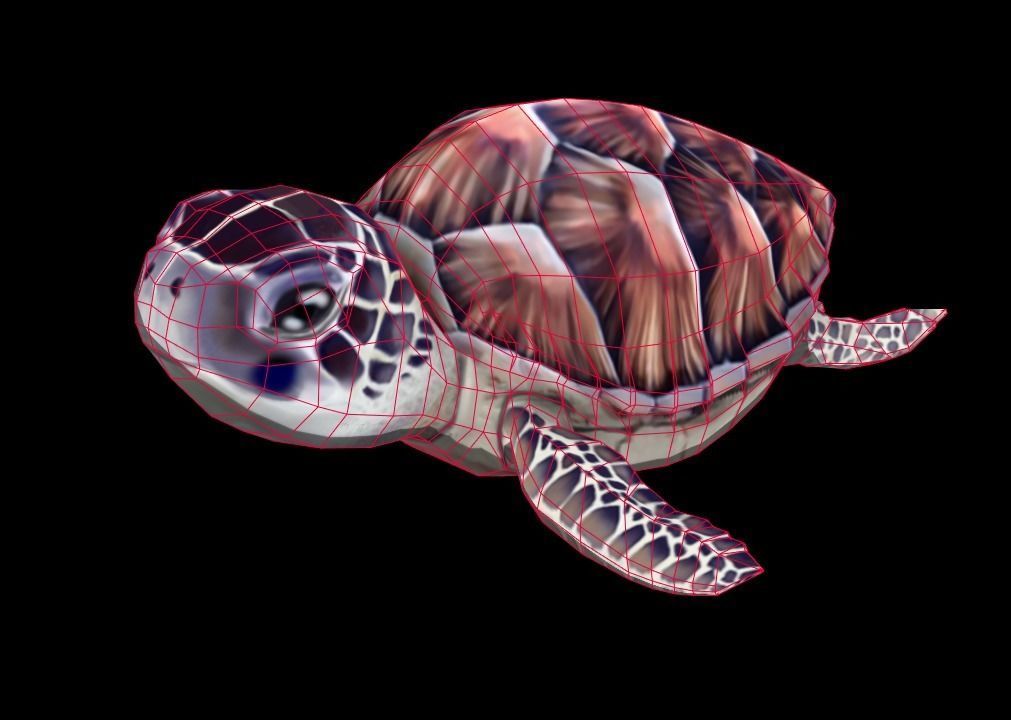 sea turtle Low-poly 3D model_4