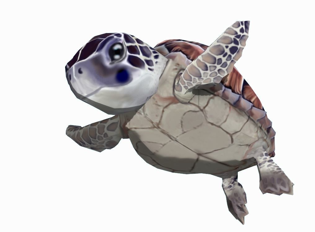 sea turtle Low-poly 3D model_3