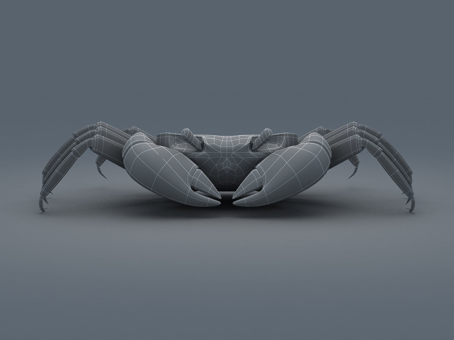 Ilyoplax pingi crab Low-poly 3D model_13