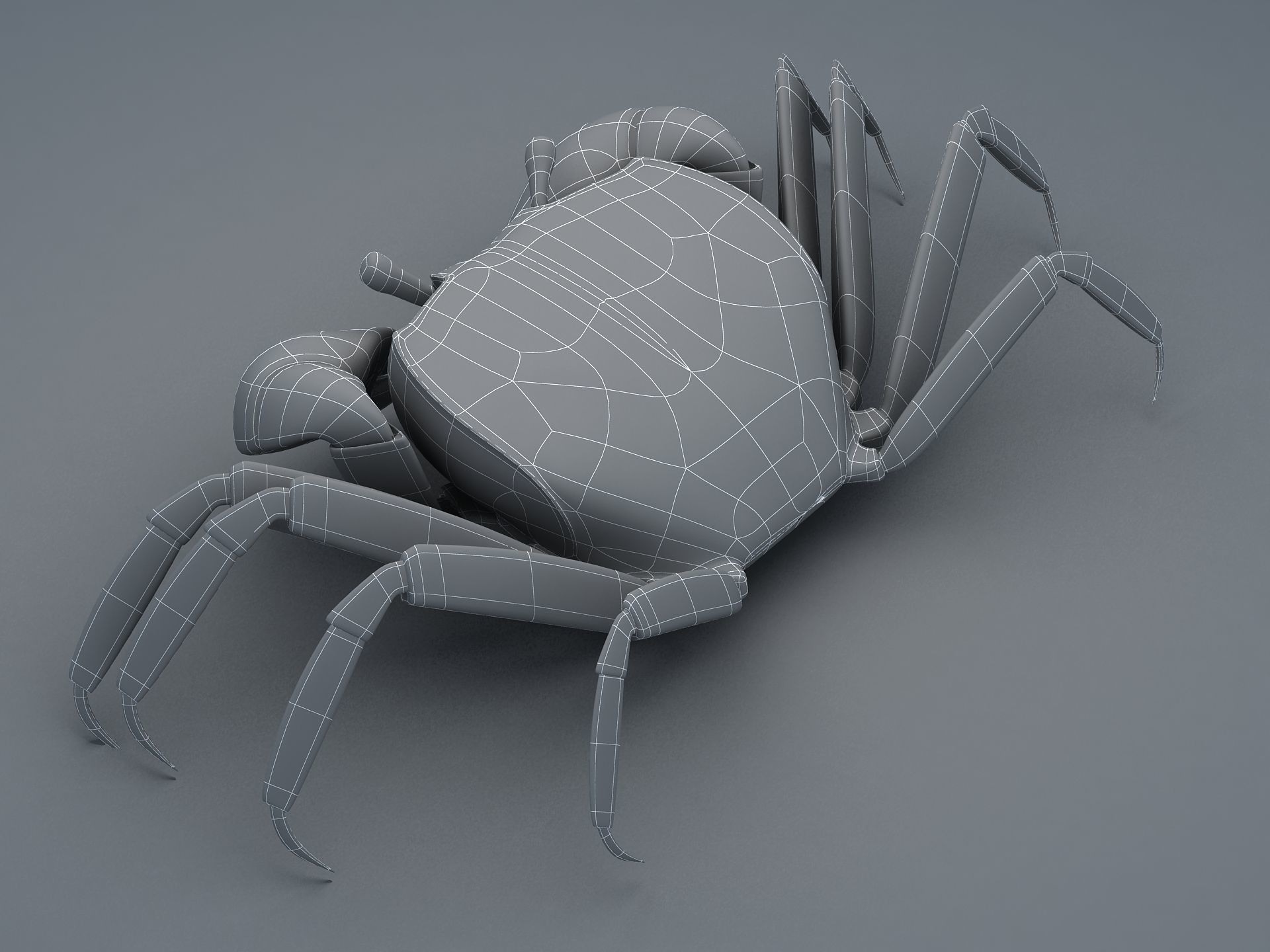 Ilyoplax pingi crab Low-poly 3D model_15