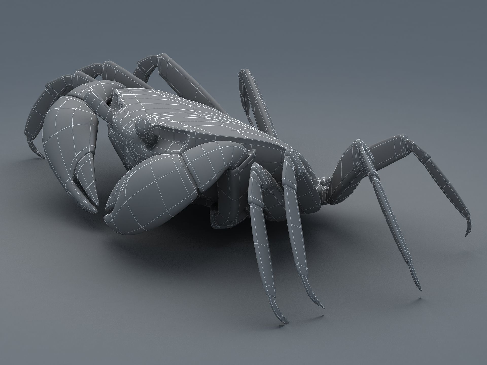 Ilyoplax pingi crab Low-poly 3D model_16