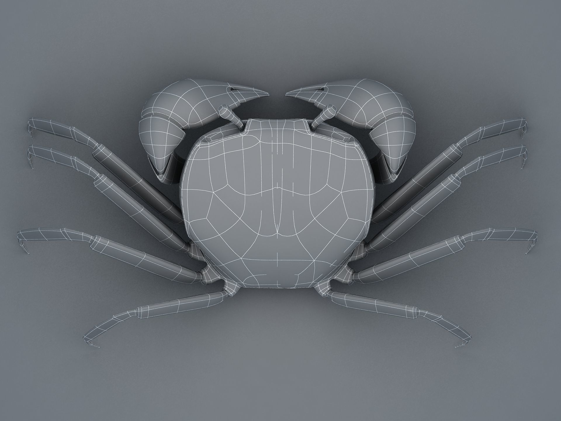 Ilyoplax pingi crab Low-poly 3D model_17