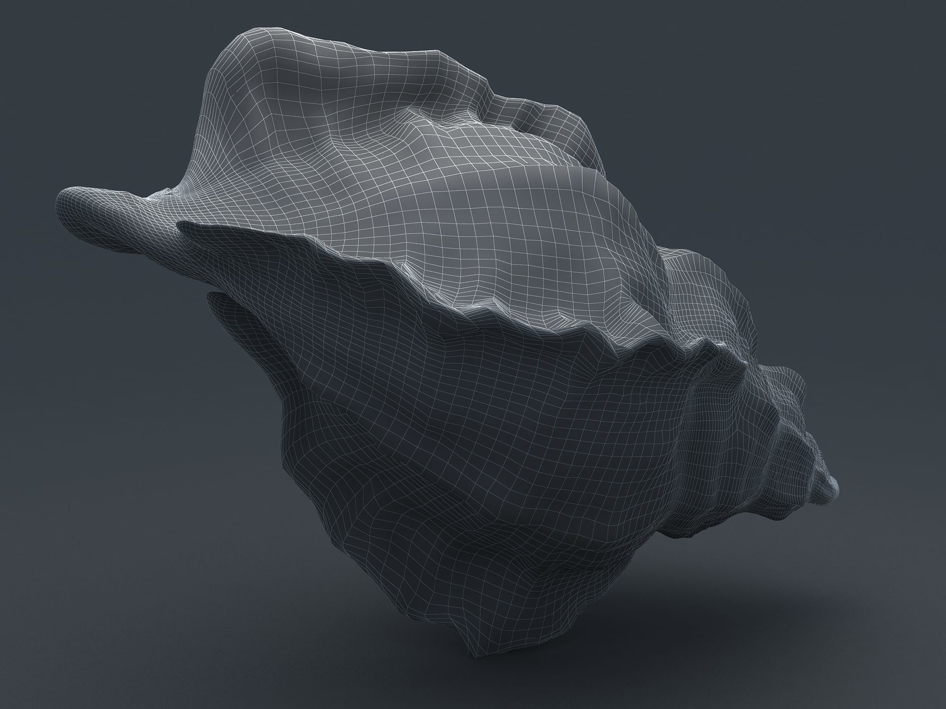 Sea Snail Conch Low-poly 3D model_21