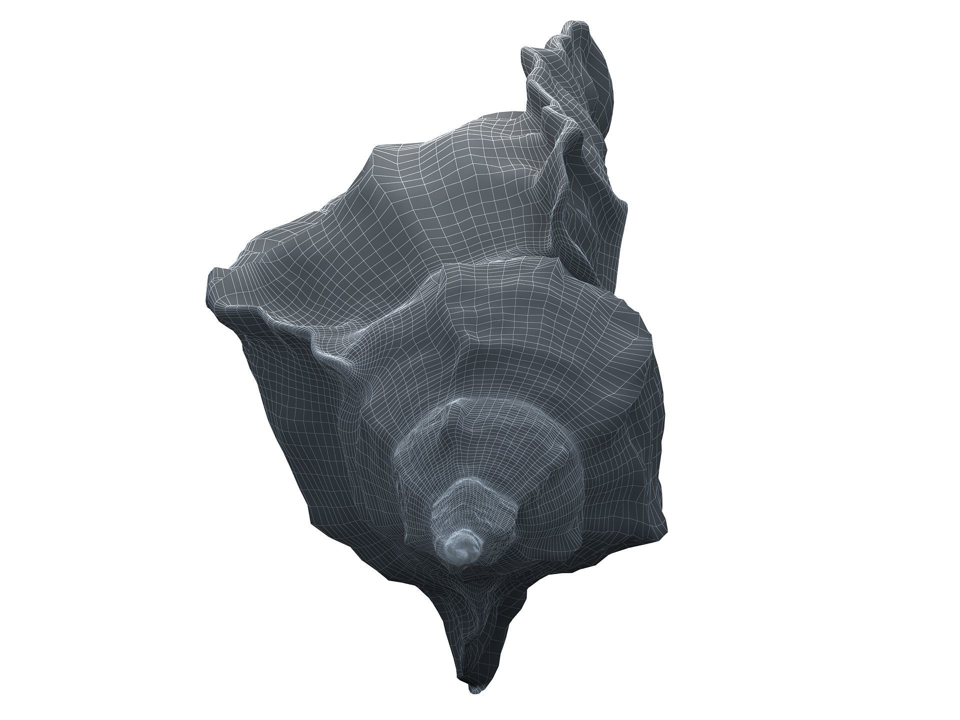 Sea Snail Conch Low-poly 3D model_20