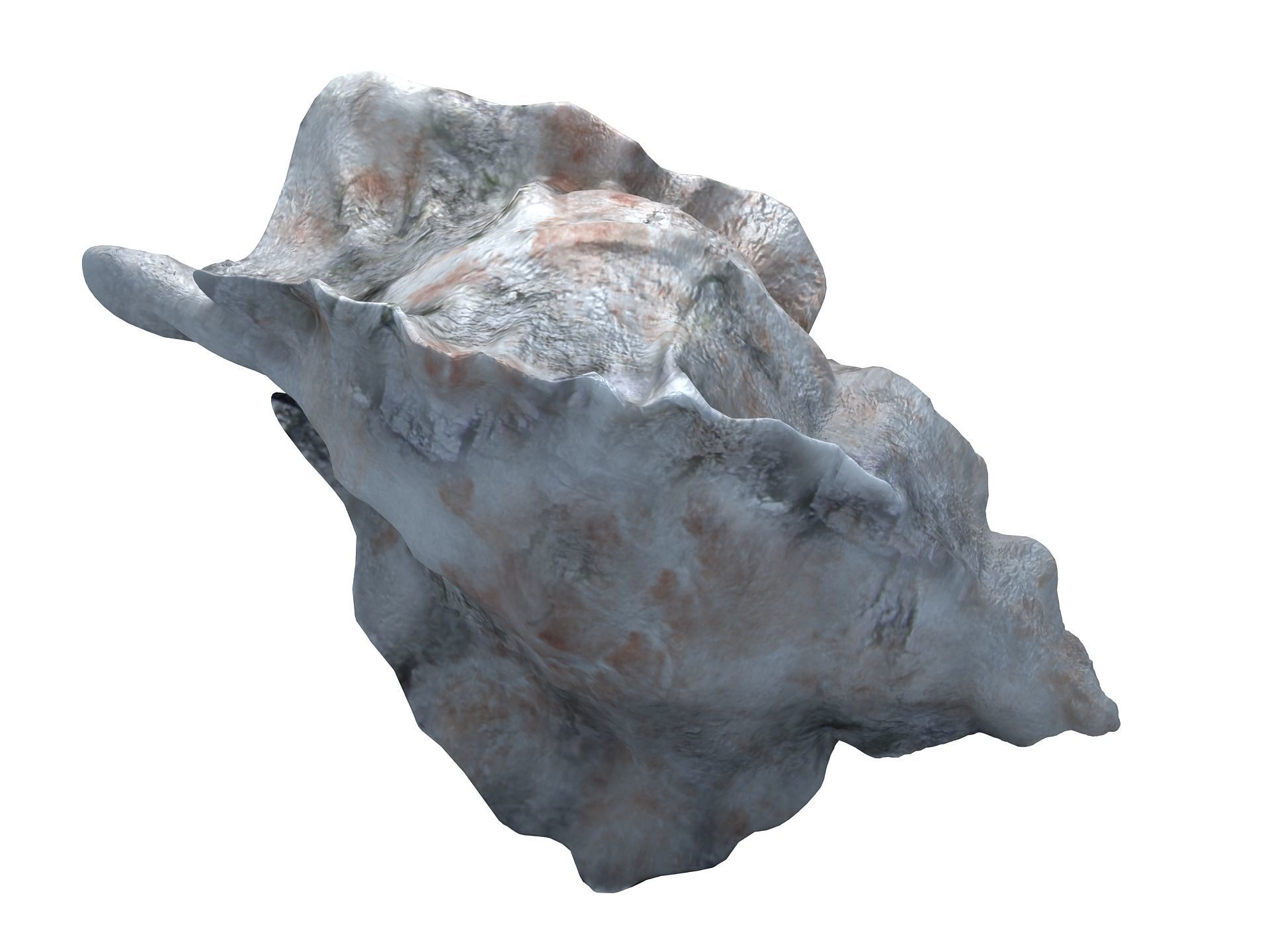 Sea Snail Conch Low-poly 3D model_5