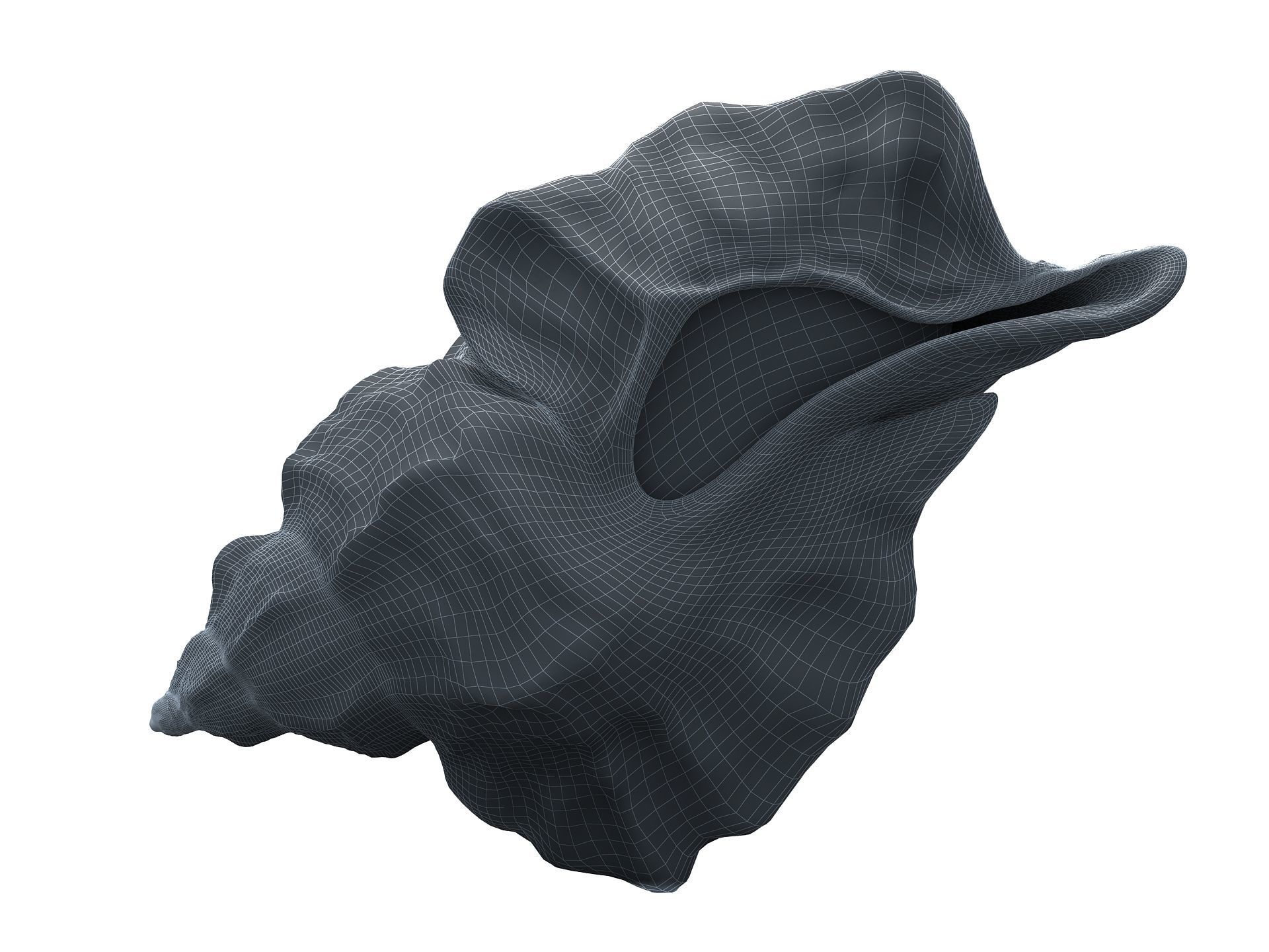 Sea Snail Conch Low-poly 3D model_17