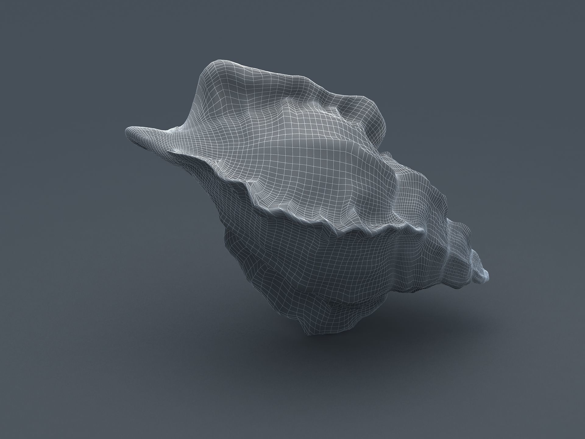 Sea Snail Conch Low-poly 3D model_11