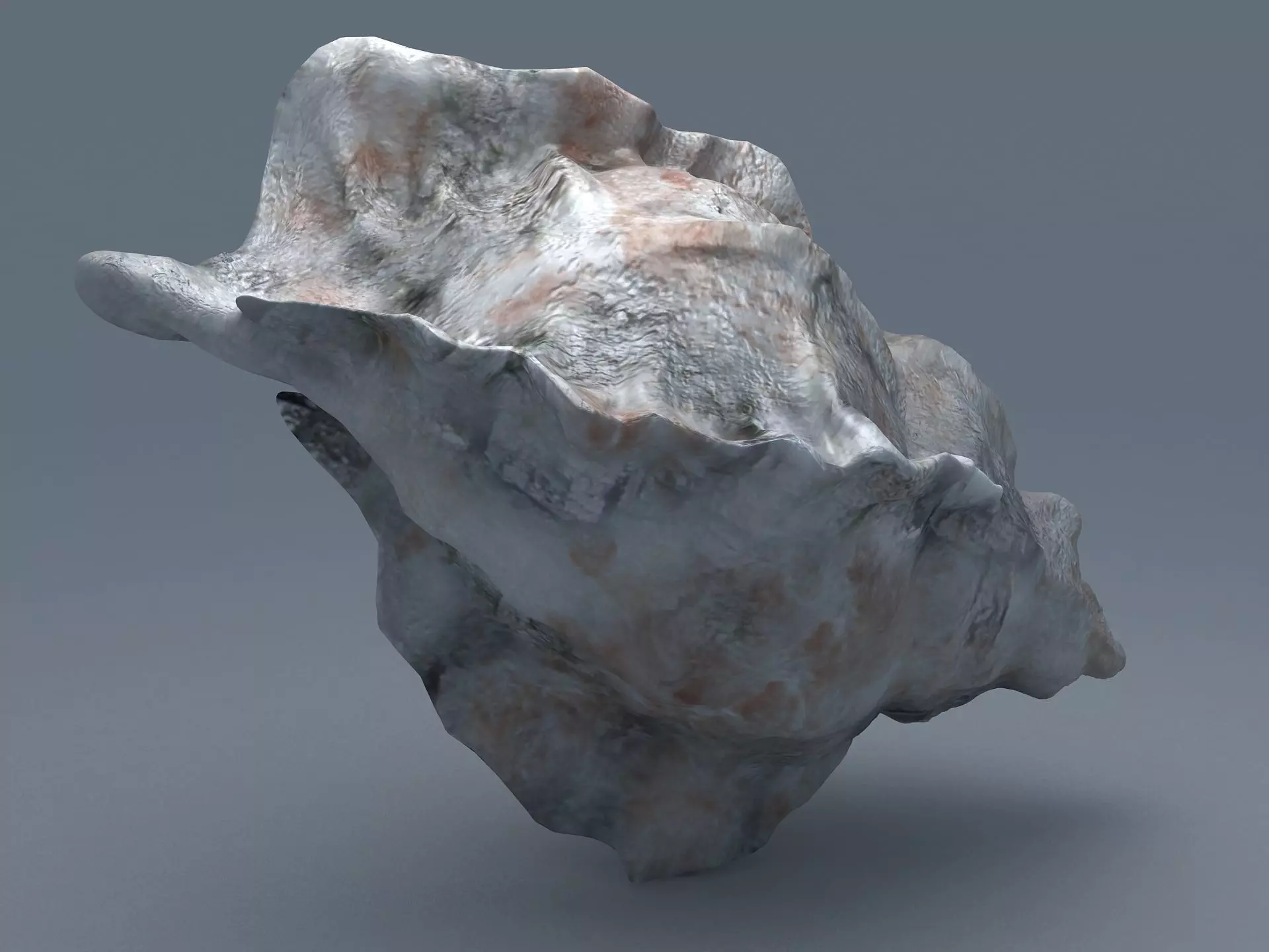 Sea Snail Conch Low-poly 3D model_0