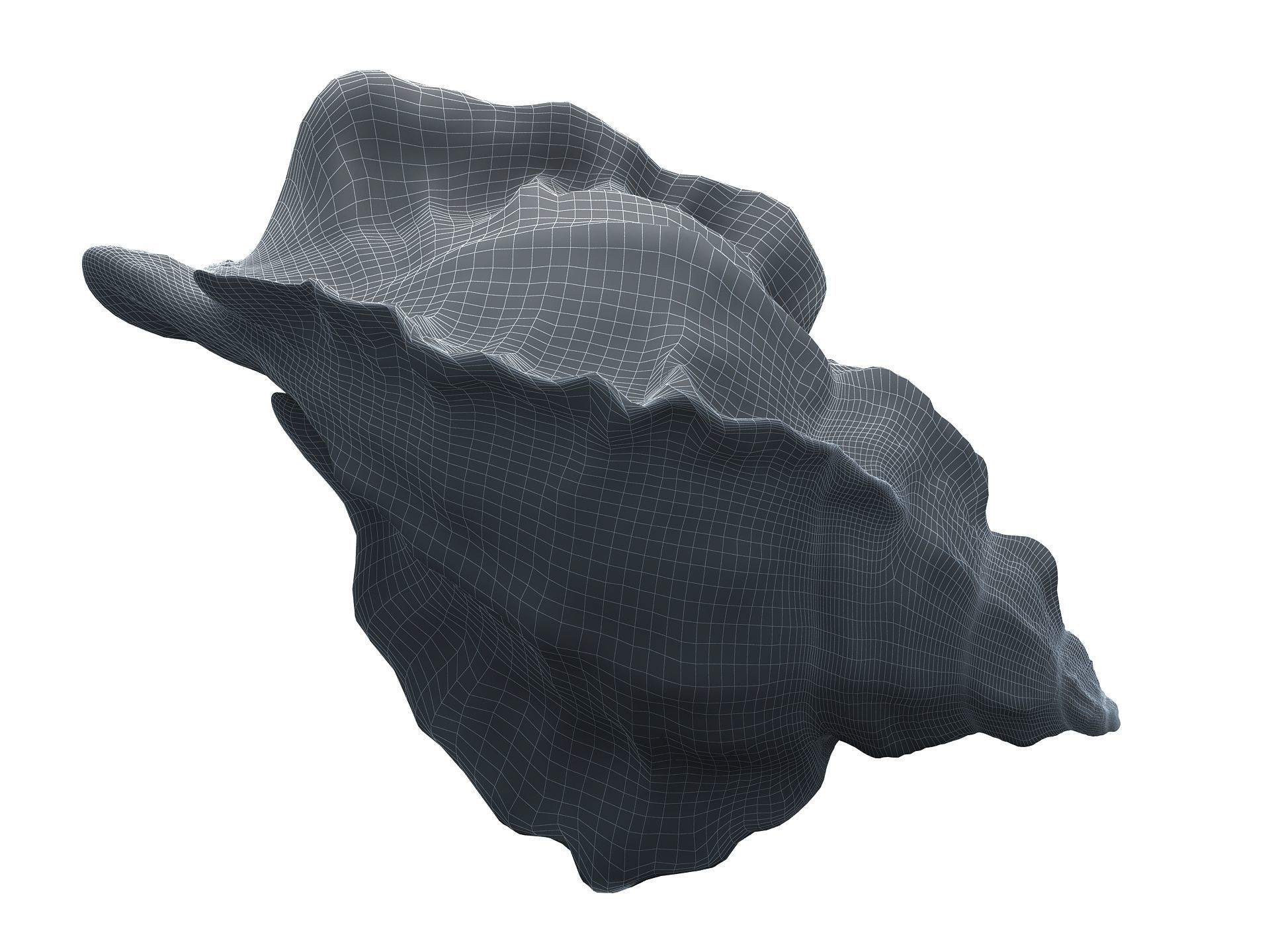 Sea Snail Conch Low-poly 3D model_16