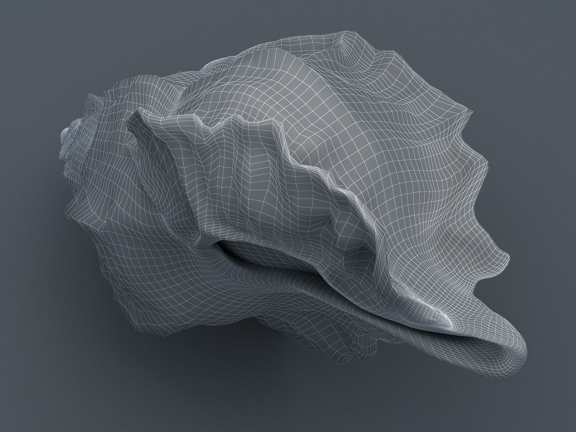 Sea Snail Conch Low-poly 3D model_15