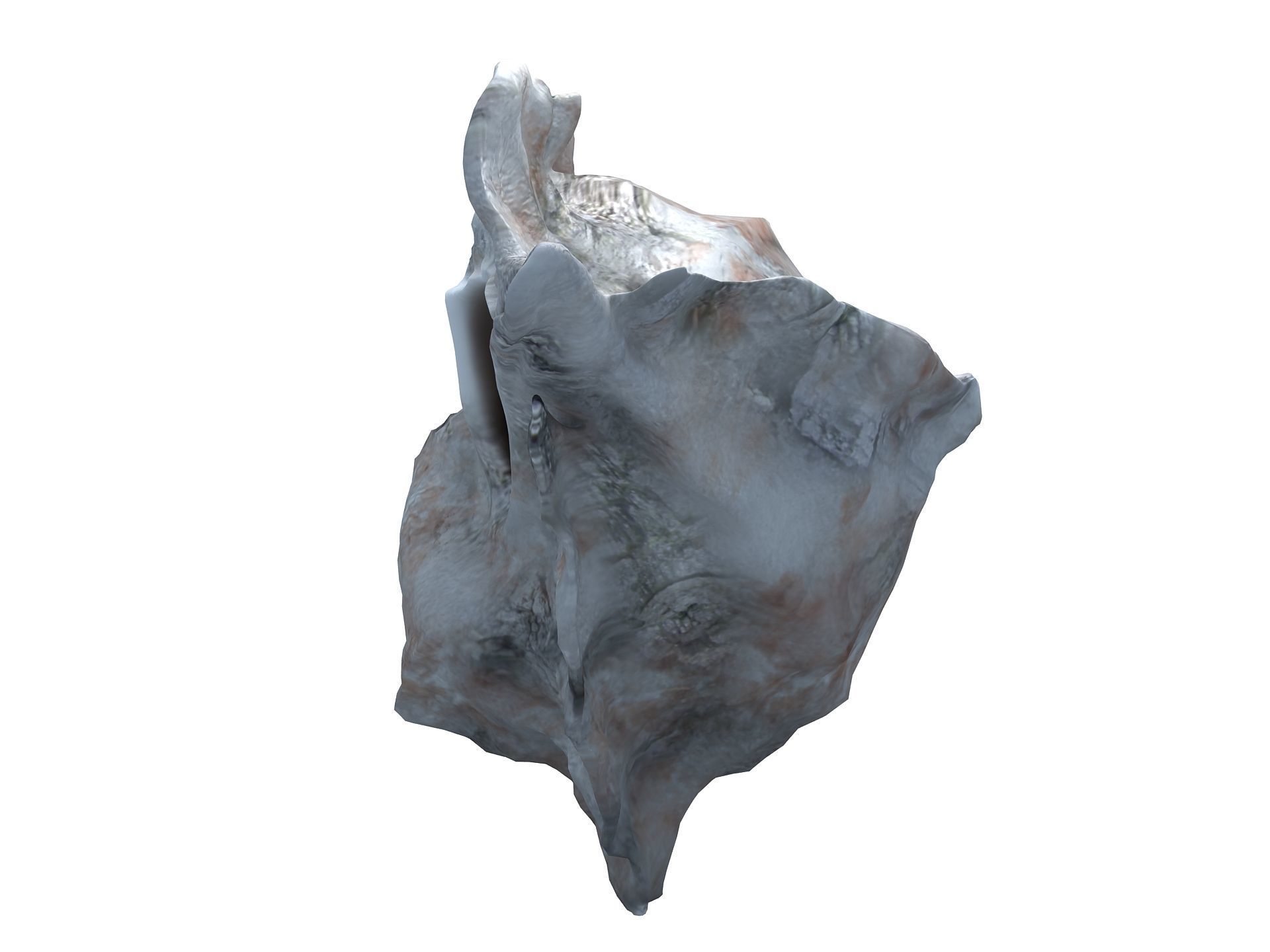 Sea Snail Conch Low-poly 3D model_6