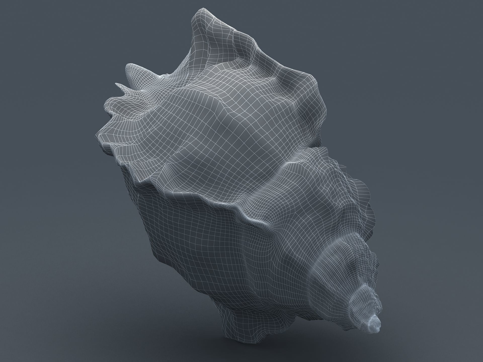 Sea Snail Conch Low-poly 3D model_12