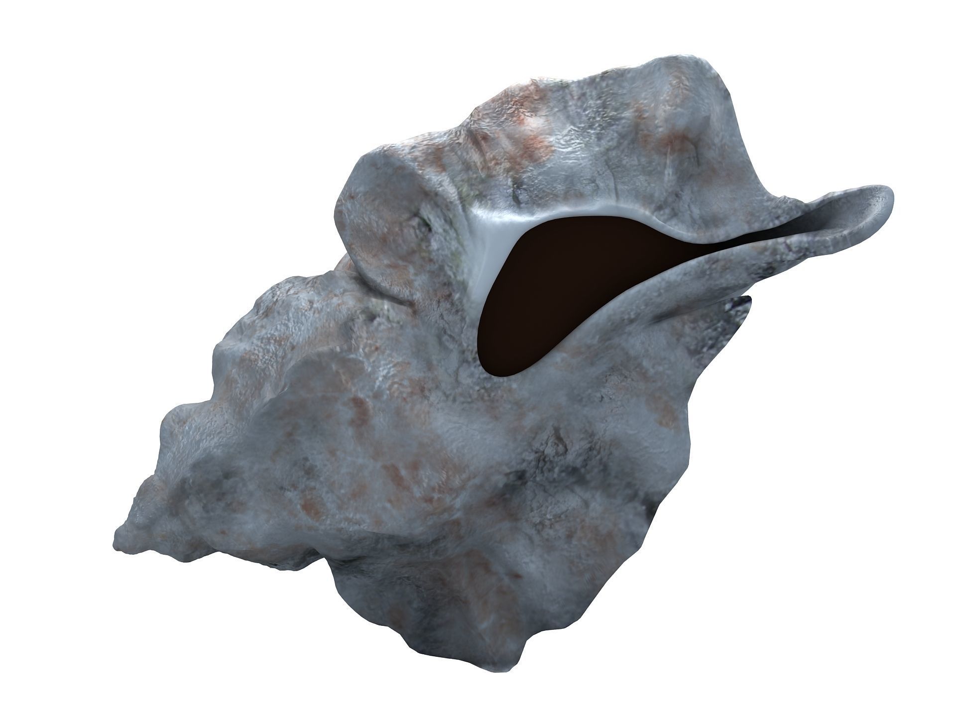 Sea Snail Conch Low-poly 3D model_10