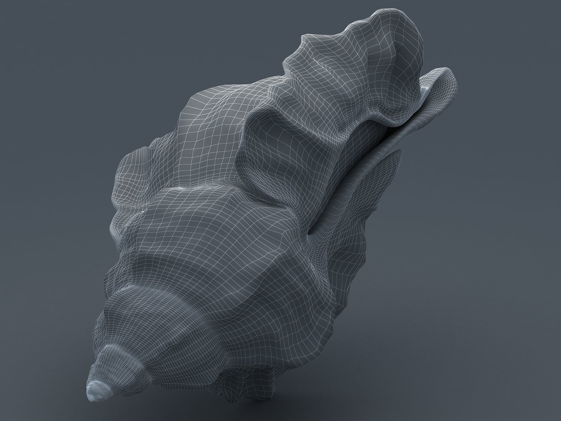 Sea Snail Conch Low-poly 3D model_13