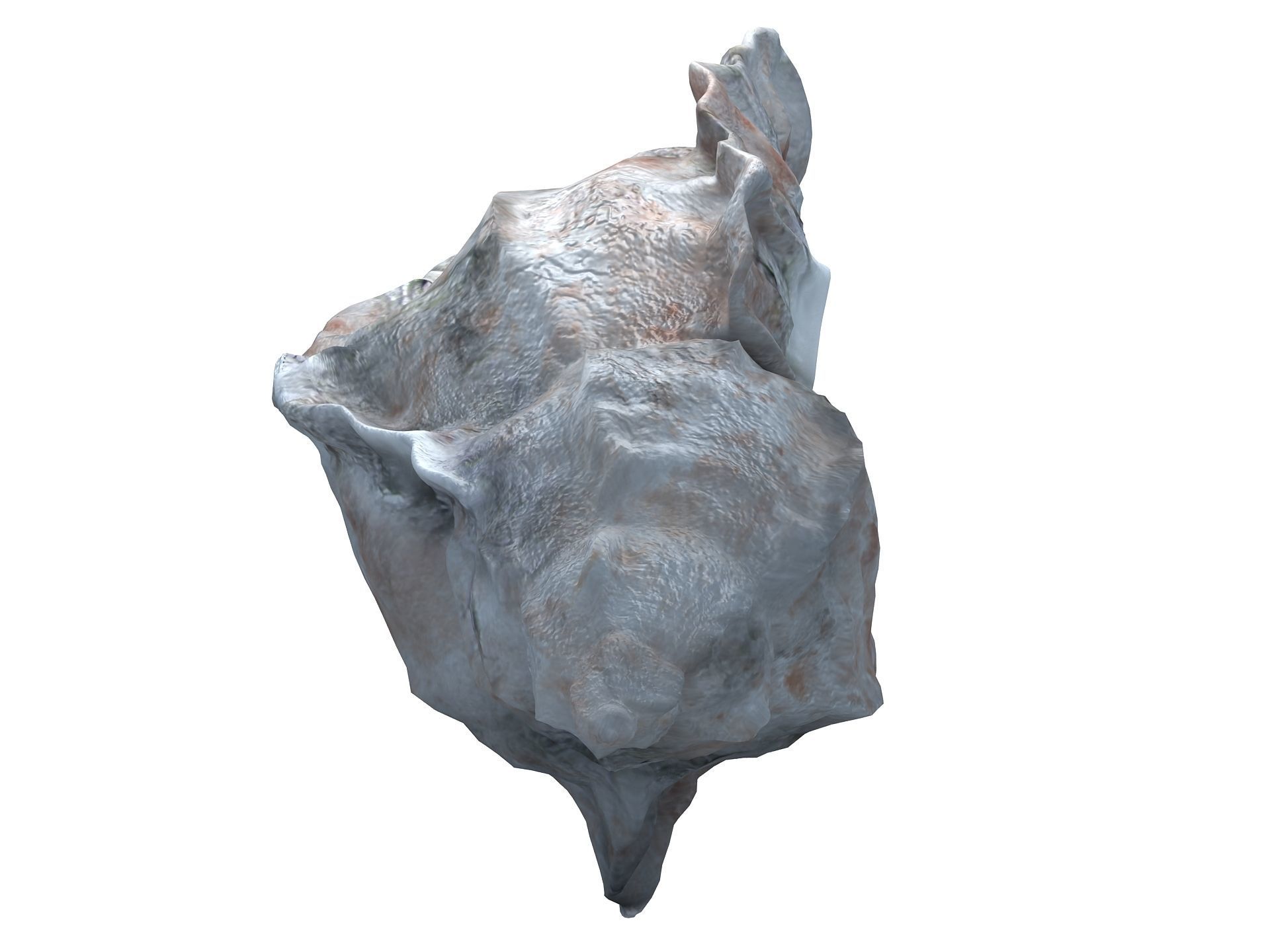Sea Snail Conch Low-poly 3D model_9