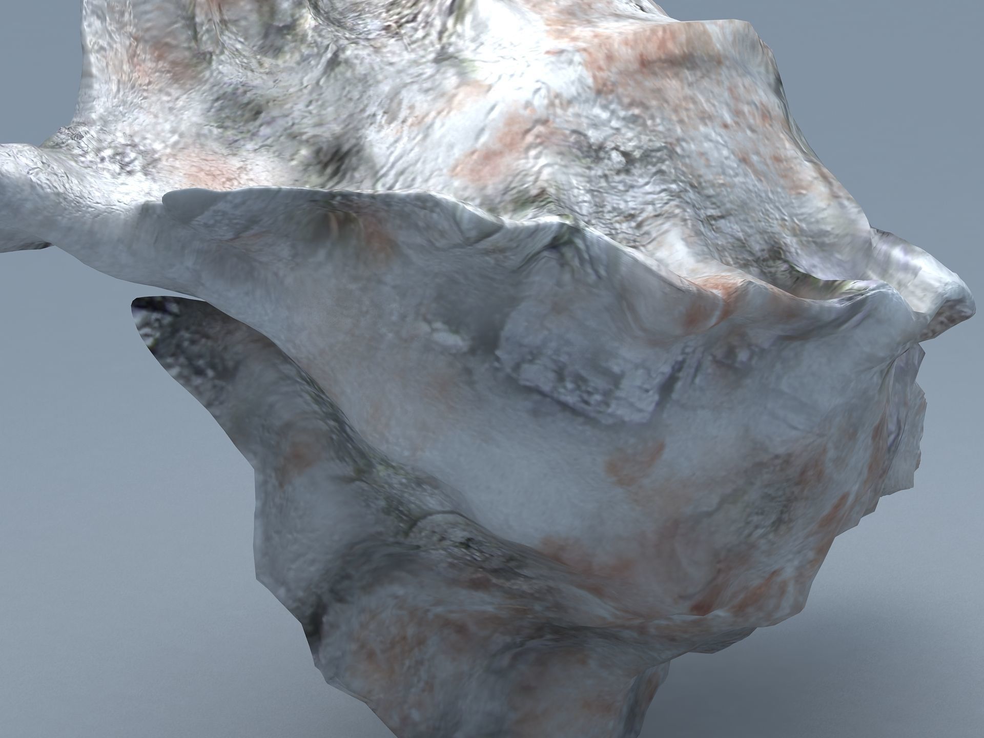 Sea Snail Conch Low-poly 3D model_3