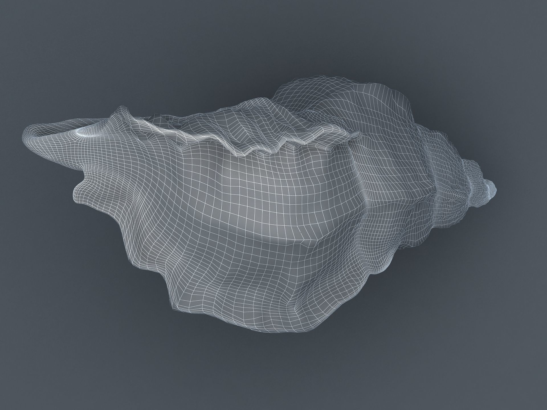 Sea Snail Conch Low-poly 3D model_18