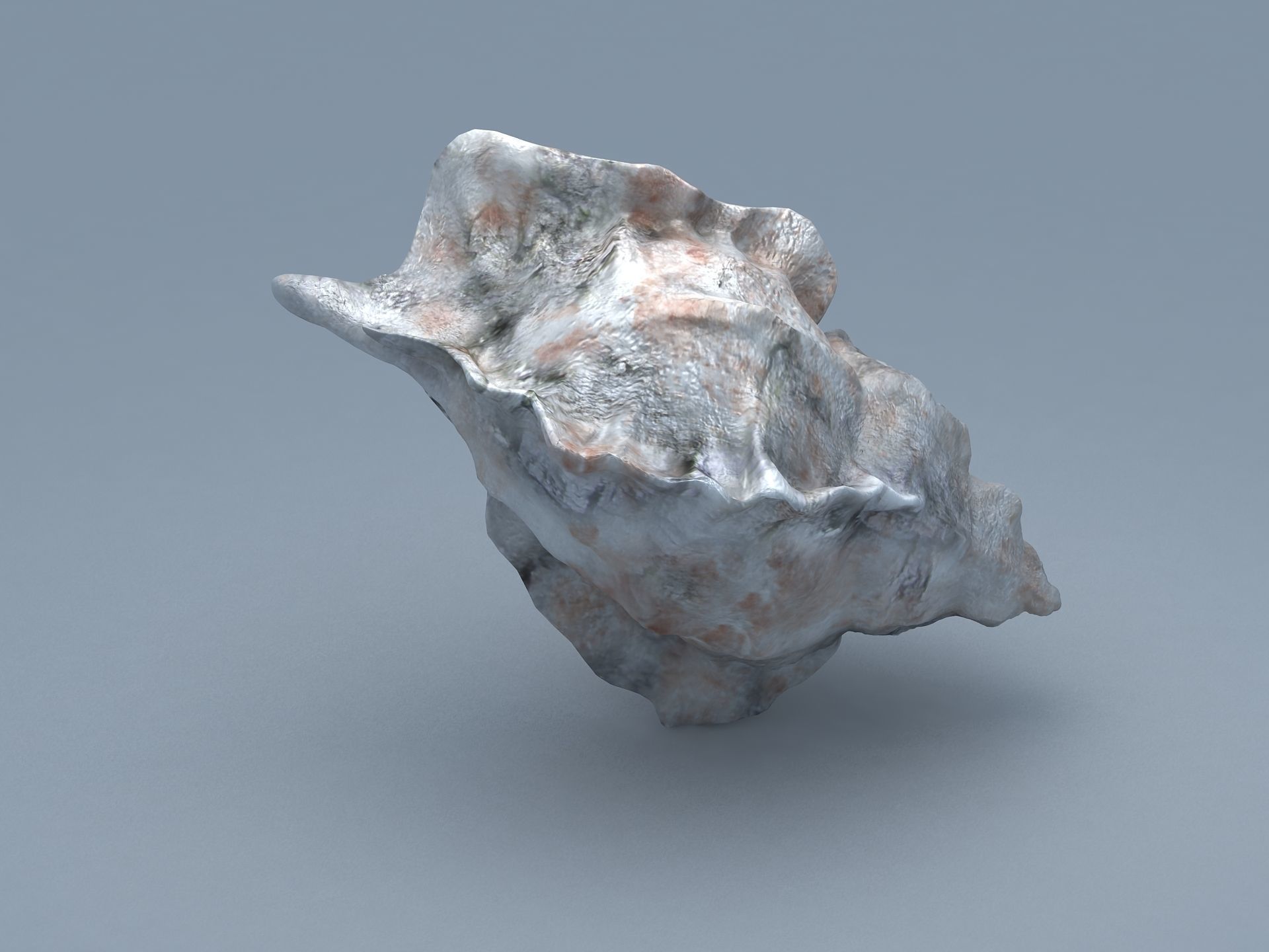 Sea Snail Conch Low-poly 3D model_1